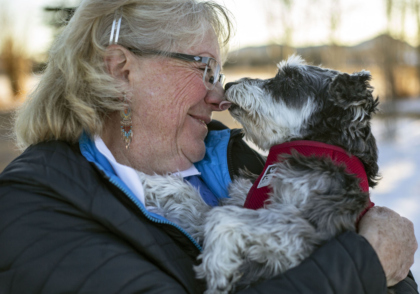 Animal adoptions during COVID-19